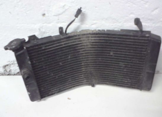 Radiator Suzuki GSX R 750