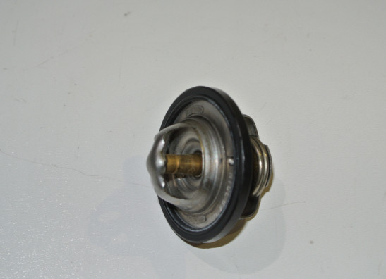 Thermostat cooler Yamaha MT 07