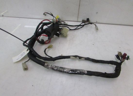 Kabelboom voor Yamaha FJ 1200