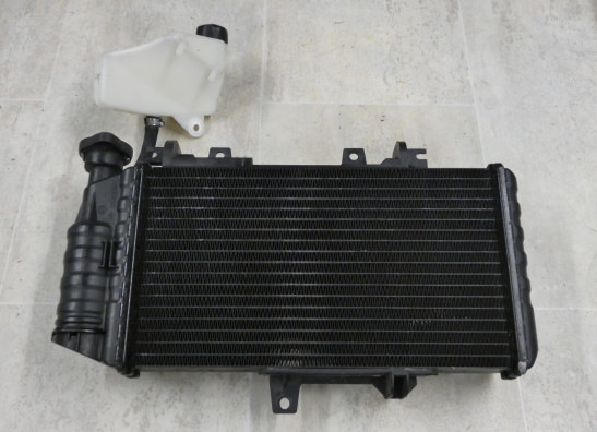 Radiator BMW F 800 S - ST