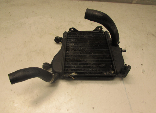 Kuhler Yamaha TZR 250