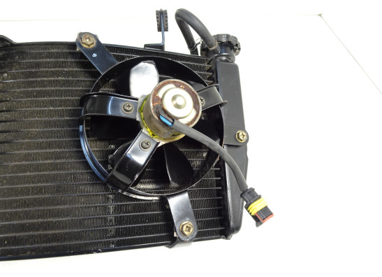 Radiator Ducati 749  999