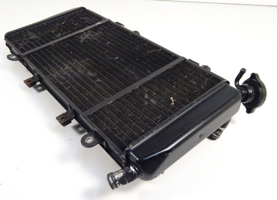 Kuhler Triumph Sprint ST 1050