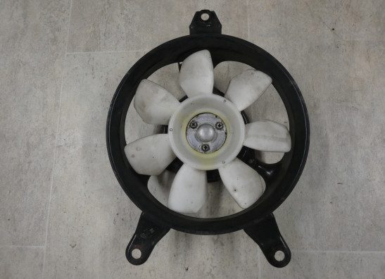 Ventilator Triumph 955 daytona