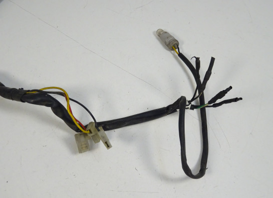 Achterlicht Ducati monster 600