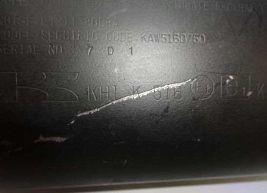 Auspuff Kawasaki Z 750