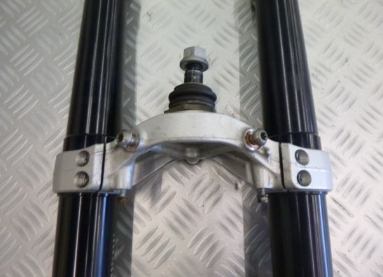 Voorpoten compleet BMW R 1200 S