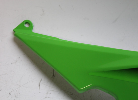 Heck links Kawasaki Ninja 650