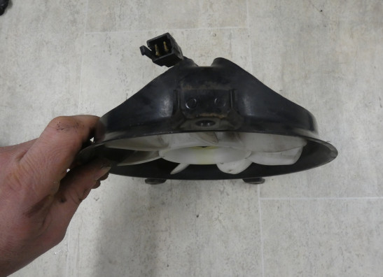 Ventilator Triumph 955 daytona