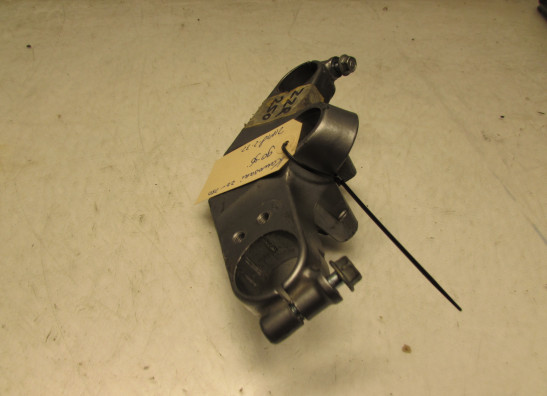 Kroonplaat Kawasaki ZZR 250