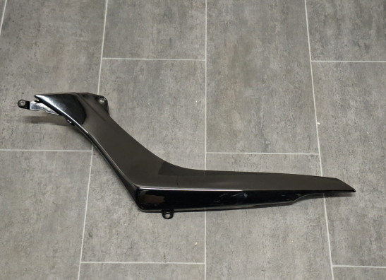 Carenado trasero BMW R 1200 R