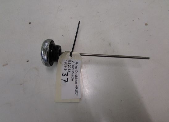 Motorblock Sonstiges Harley Davidson Overige Harley Davidson