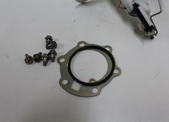 Brandstofpomp KTM 390 Duke