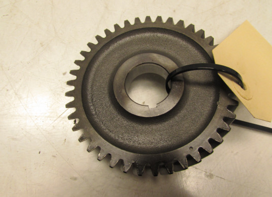 Motorblock Sonstiges Aprilia Tuono 1000