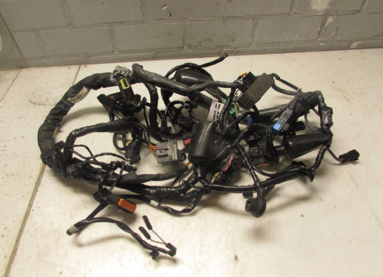 Wire Harness Kawasaki GTR 1400