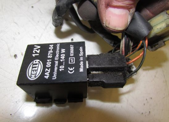 Wire Harness Triumph Tiger 900