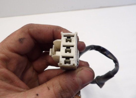 Dynamo Honda CBR 600 FS Sport