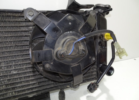 Kuhler Suzuki DL 650 V STROM