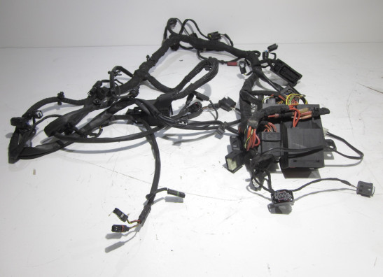Wire Harness BMW S 1000 R