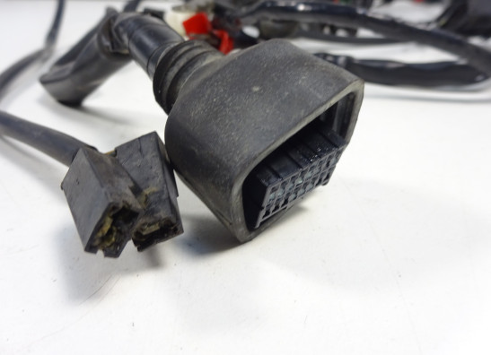 Kabelboom Triumph Street Triple 675