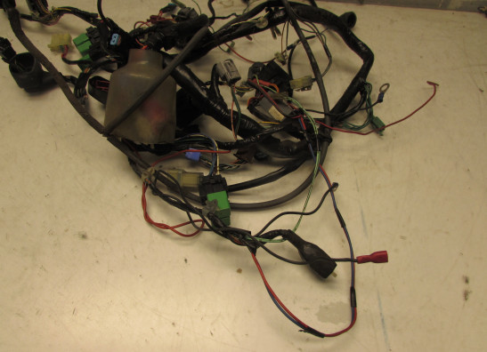 Wire Harness Honda Silverwing