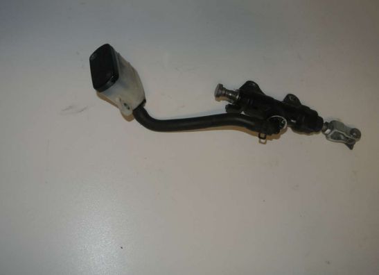 Rempomp achter Triumph Speed Triple 1050