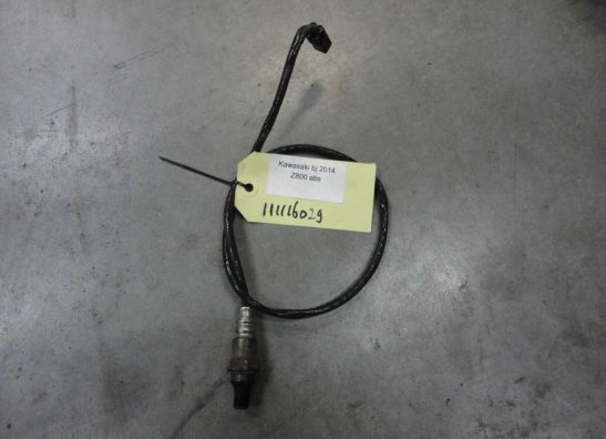 Oxygen sensor Kawasaki Z 800