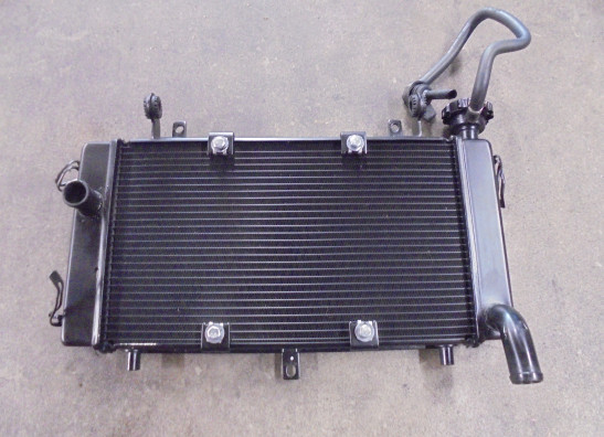 Radiateur Benelli TRK 702