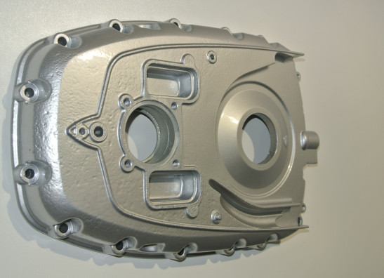 Engine cover BMW R 1200 GS