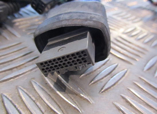 Wire harness front Honda CBR Fireblade