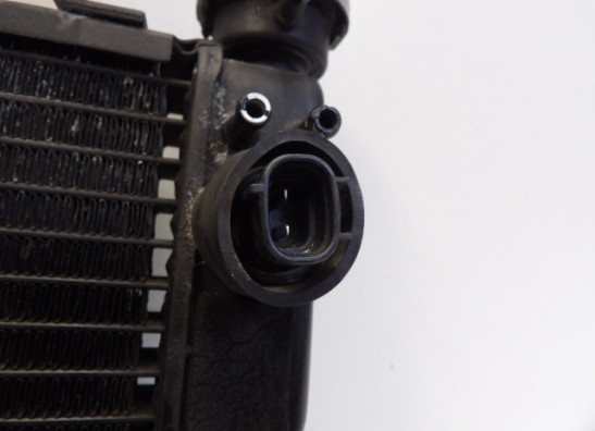 Radiateur Yamaha YZF R6