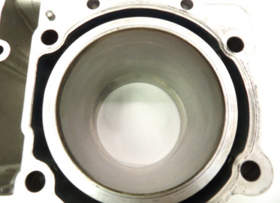 Cilinderblok Aprilia RSV 1000