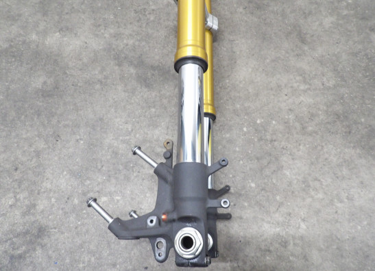 Voorpoten compleet Suzuki DL 1000 V STROM