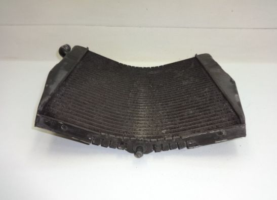 Radiator Suzuki RF 600