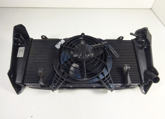 Radiateur BMW R 1200 R