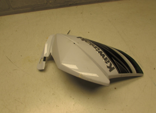 Rechter zijkuip Kawasaki Z 800