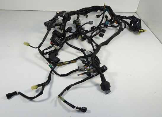 Wire Harness Kawasaki VERSYS 1000