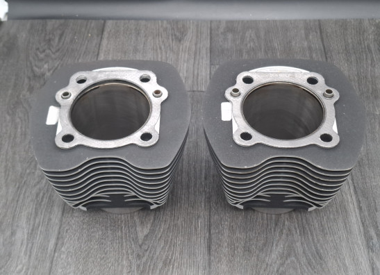 Cilinderblok Harley Davidson FXDB Street Bob