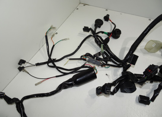 Kabelboom Kawasaki Z 900