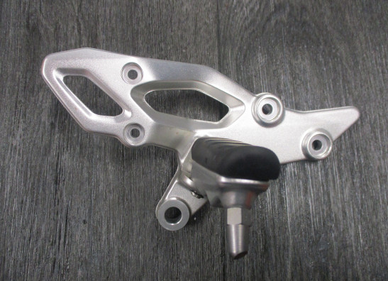 Rechter schetsplaat BMW R 1200 R LC 2014-2015