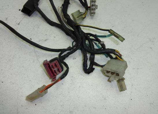 Kabelbaum Kawasaki ZZR 250