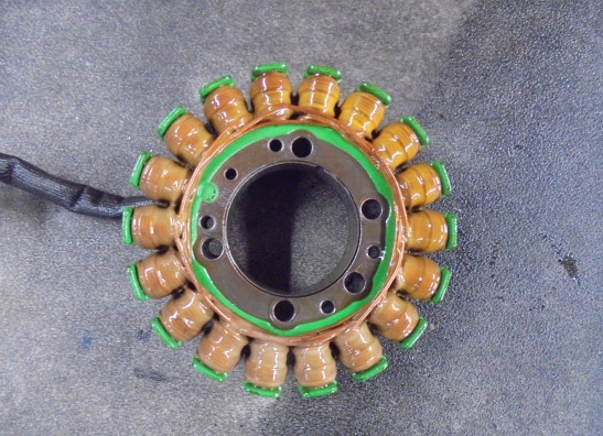 Dynamo Kawasaki Z 800