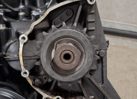 Motorblok Triumph Tiger 1050