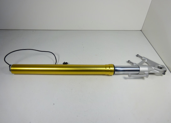 Standrohr Gabelholm links komplett BMW R 1200 R