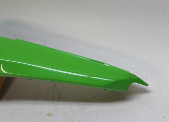 Heck links Kawasaki Ninja 650