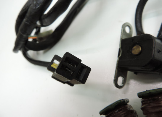 Lichtmaschine Suzuki LS 650