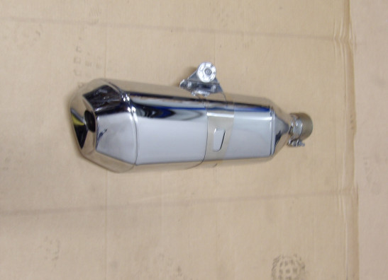 Auspuff BMW R 1250 R