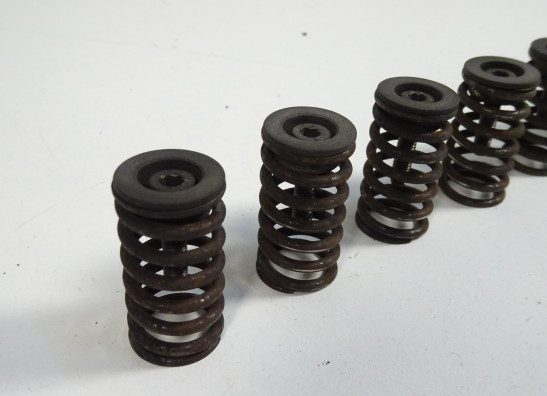 Koppeling Ducati Multistrada 1000