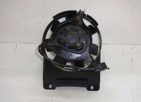 Fan Yamaha TDM