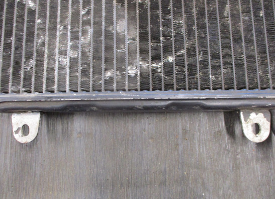 Radiateur Suzuki RG 250